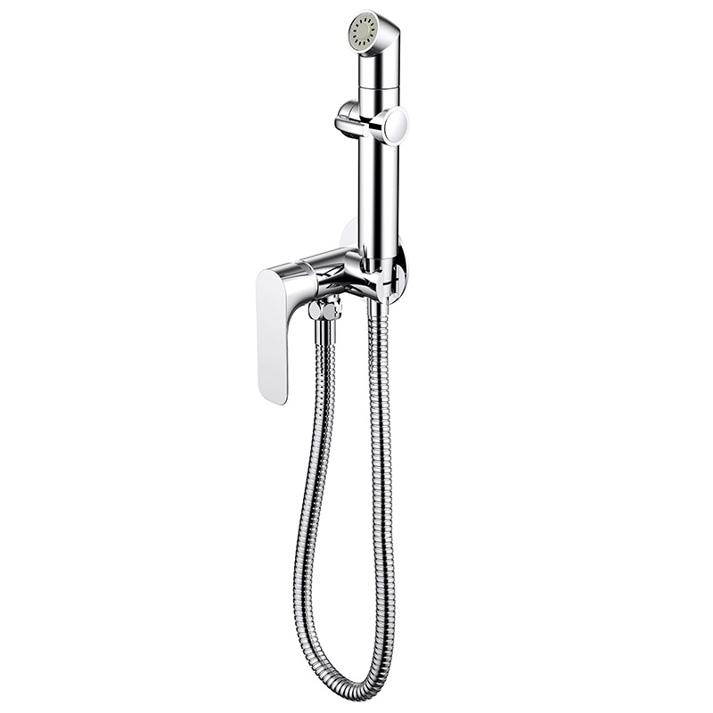 Wall Mounted Concealed Chrome Mixer with Hygienic Shower