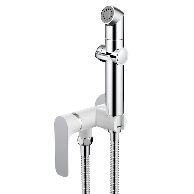 Wall Built-in Mixer with Hand Shower