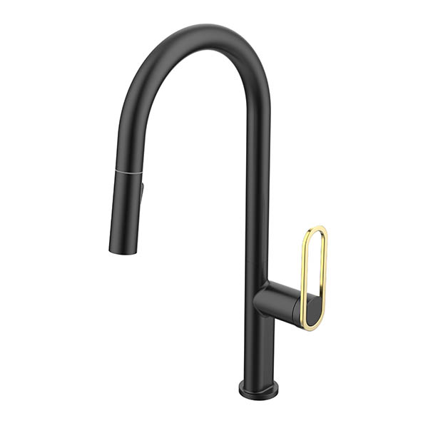 Single Hollow Handle Kitchen Faucet